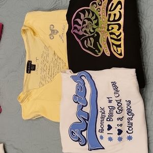 ♈️ Aries tee bundle